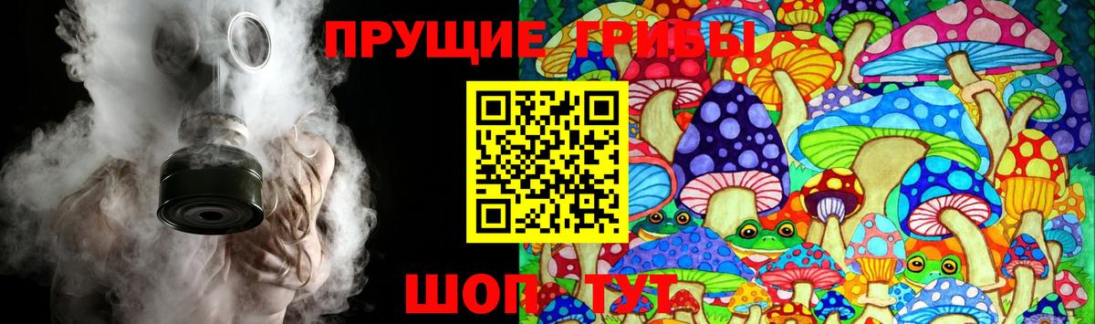 Галлюциногенные грибы GOLDEN TEACHER  Вход с VPN  Острогожск  что такое   Галлюциногенные грибы MAGIC MUSHROOMS 